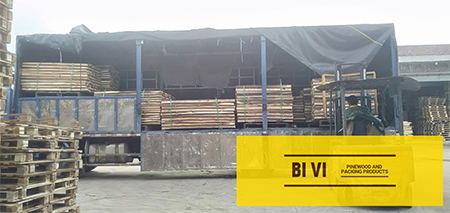 Hình ảnh xuất khẩu - Pallet Gỗ BI VI - Công Ty TNHH BI VI