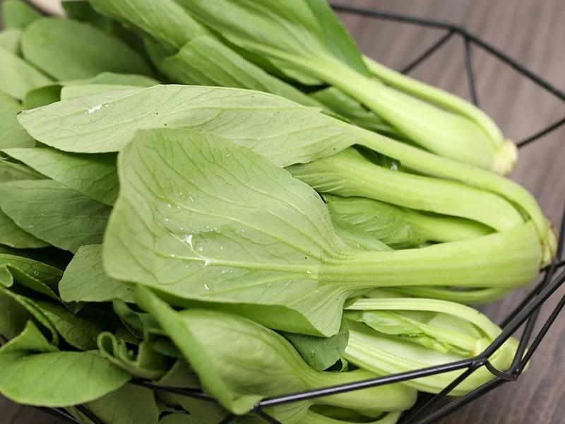 Cải Thìa (Cải Chíp)