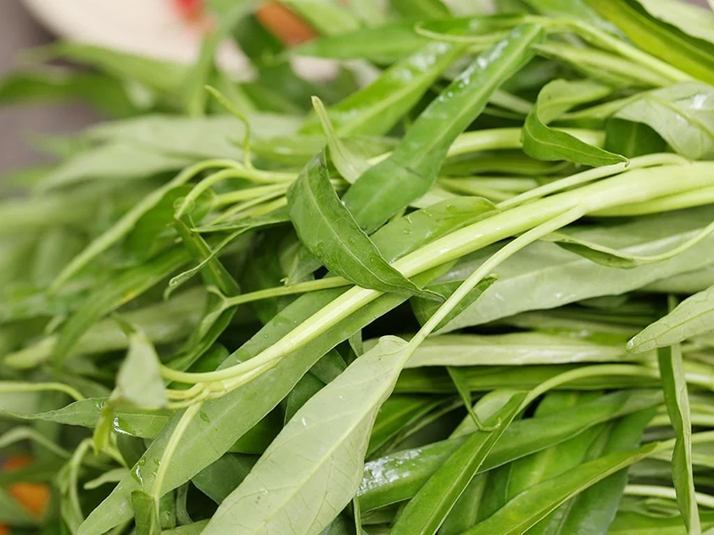Rau Muống