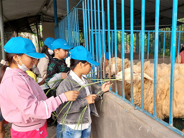 Tham quan chụp ảnh