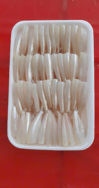 Cá mai - Thủy Hải Sản Oceansix Foods - Công Ty TNHH Oceansix Foods