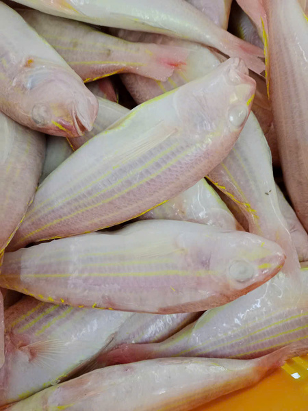 Cá đổng cờ - Thủy Hải Sản Oceansix Foods - Công Ty TNHH Oceansix Foods