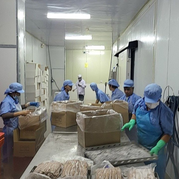 Nhà máy Oceansix Foods - Thủy Hải Sản Oceansix Foods - Công Ty TNHH Oceansix Foods