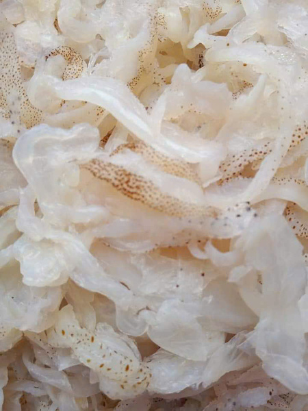 Sứa - Thủy Hải Sản Oceansix Foods - Công Ty TNHH Oceansix Foods