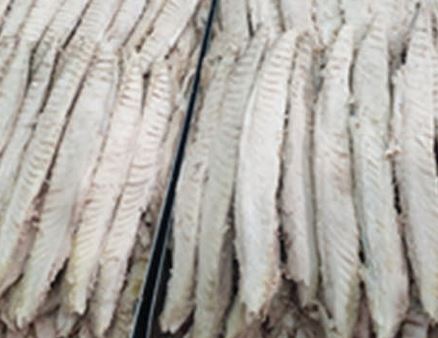 Thăn cá ngừ đuôi dài đã nấu chín - Thủy Hải Sản Oceansix Foods - Công Ty TNHH Oceansix Foods