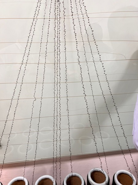 Sợi Air Covering
