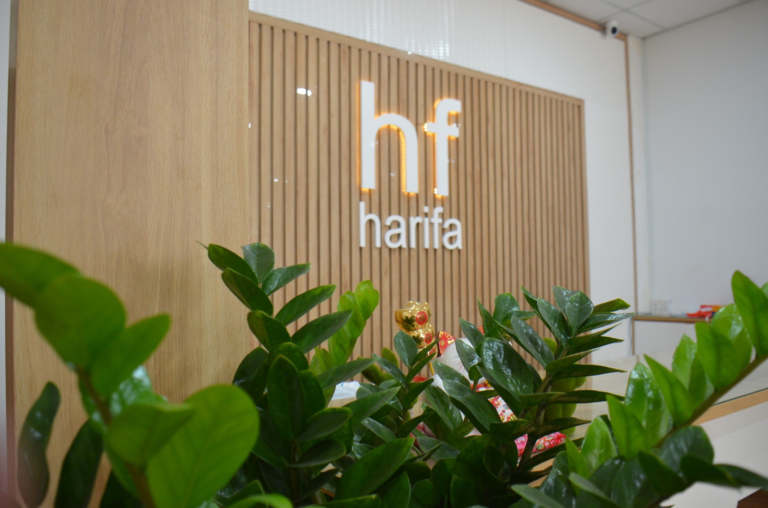 Hình ảnh công ty Harifa