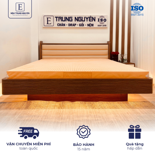 Nệm cao su thiên nhiên Trung Nguyên Gold 1m6 x 2m - Nệm Trung Nguyên - Công Ty TNHH Nệm Trung Nguyên