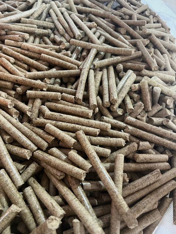 Viên nén trấu