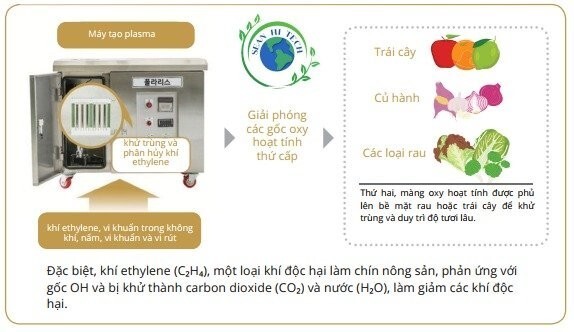 Máy làm giữ tươi nông sản - Thiết Bị Giữ Tươi Nông Sản Plazen - Công Ty Cổ Phần Xuất Nhập Khẩu Thiết Bị SEAN HI TECH