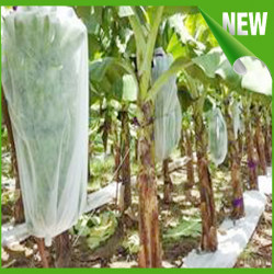 Vải PP trong nông nghiệp - Hoàng Quyên Interco - Công Ty TNHH Hoàng Quyên Interco