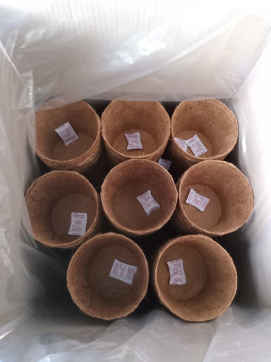 Chậu xơ dừa
