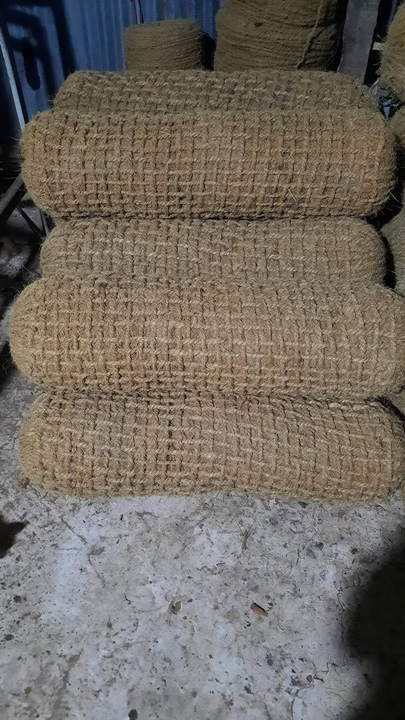 Gối ôm xơ dừa
