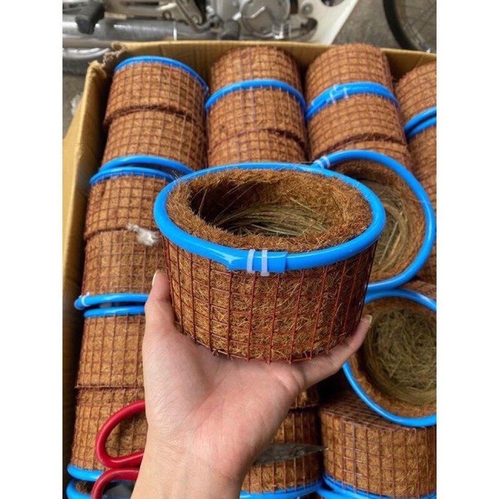 Tổ chim xơ dừa