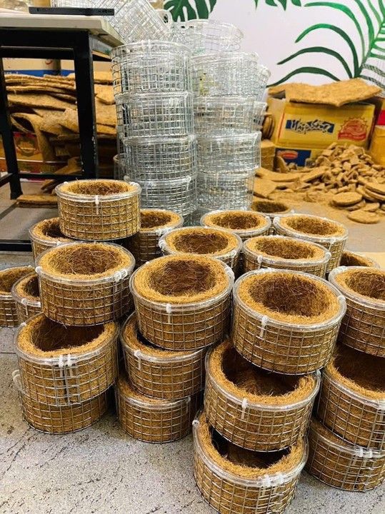Tổ chim xơ dừa