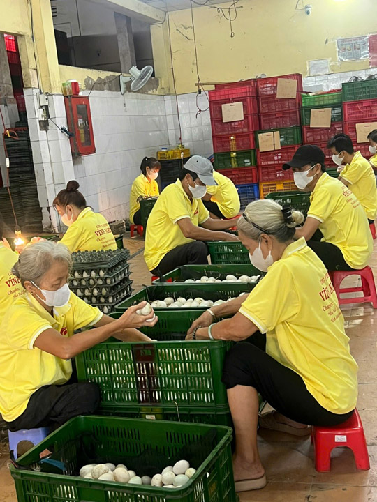Phân loại trứng