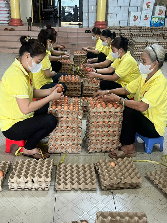 Phân loại trứng