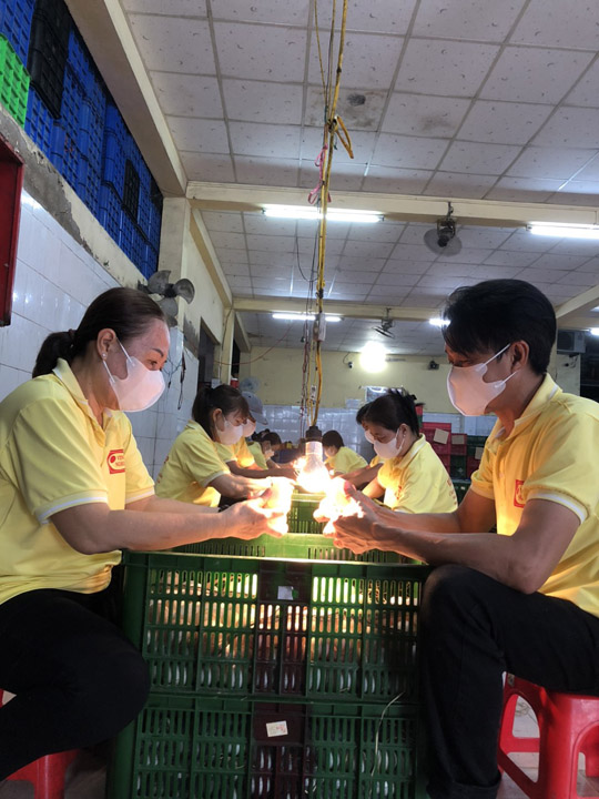 Rọi trứng