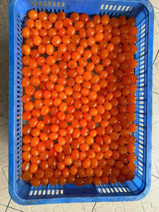 Tròng đỏ