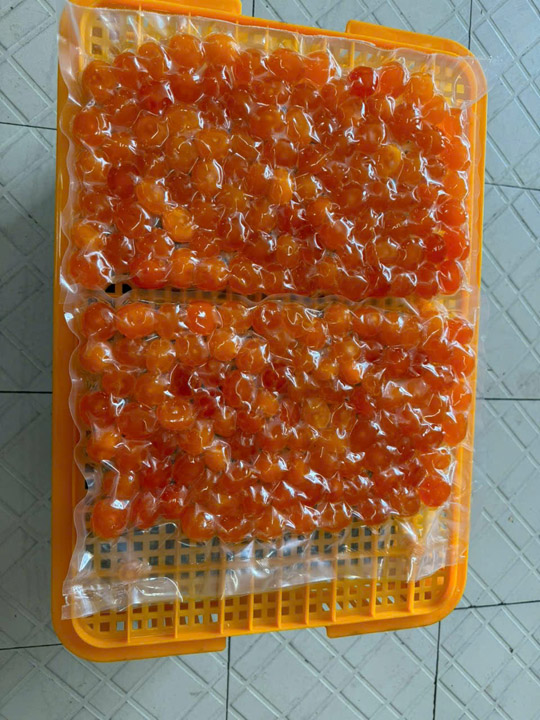Tròng đỏ rút chân không