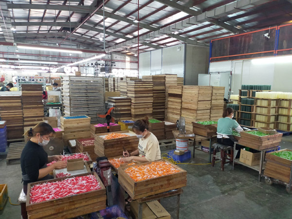 Xưởng sản xuất