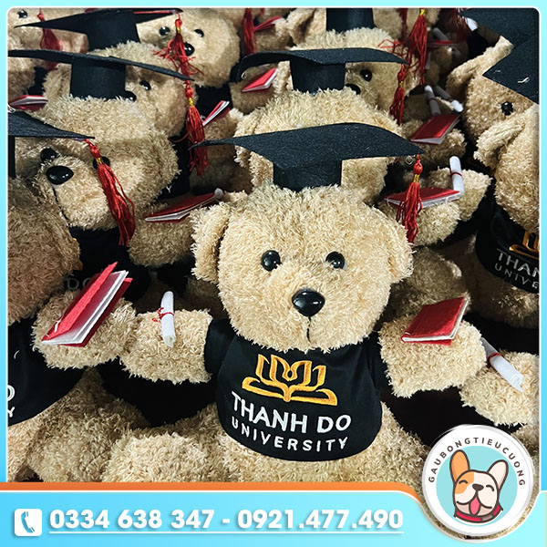 Gấu bông Đại học Thành Đô