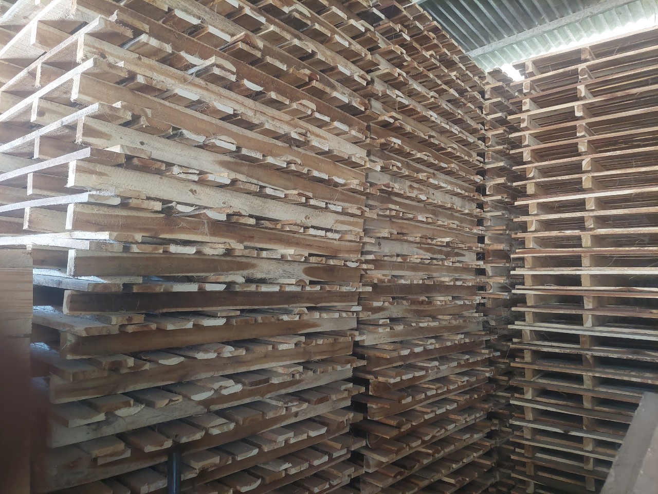 Pallet gỗ