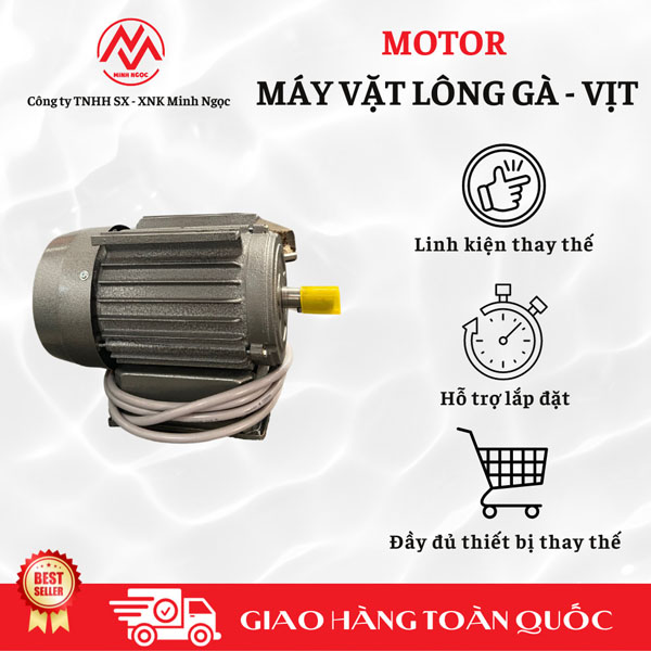 Motor máy vặt lông gà - vịt