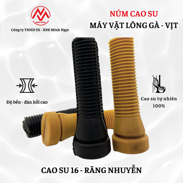 Núm cao su 16 – Răng nhuyễn