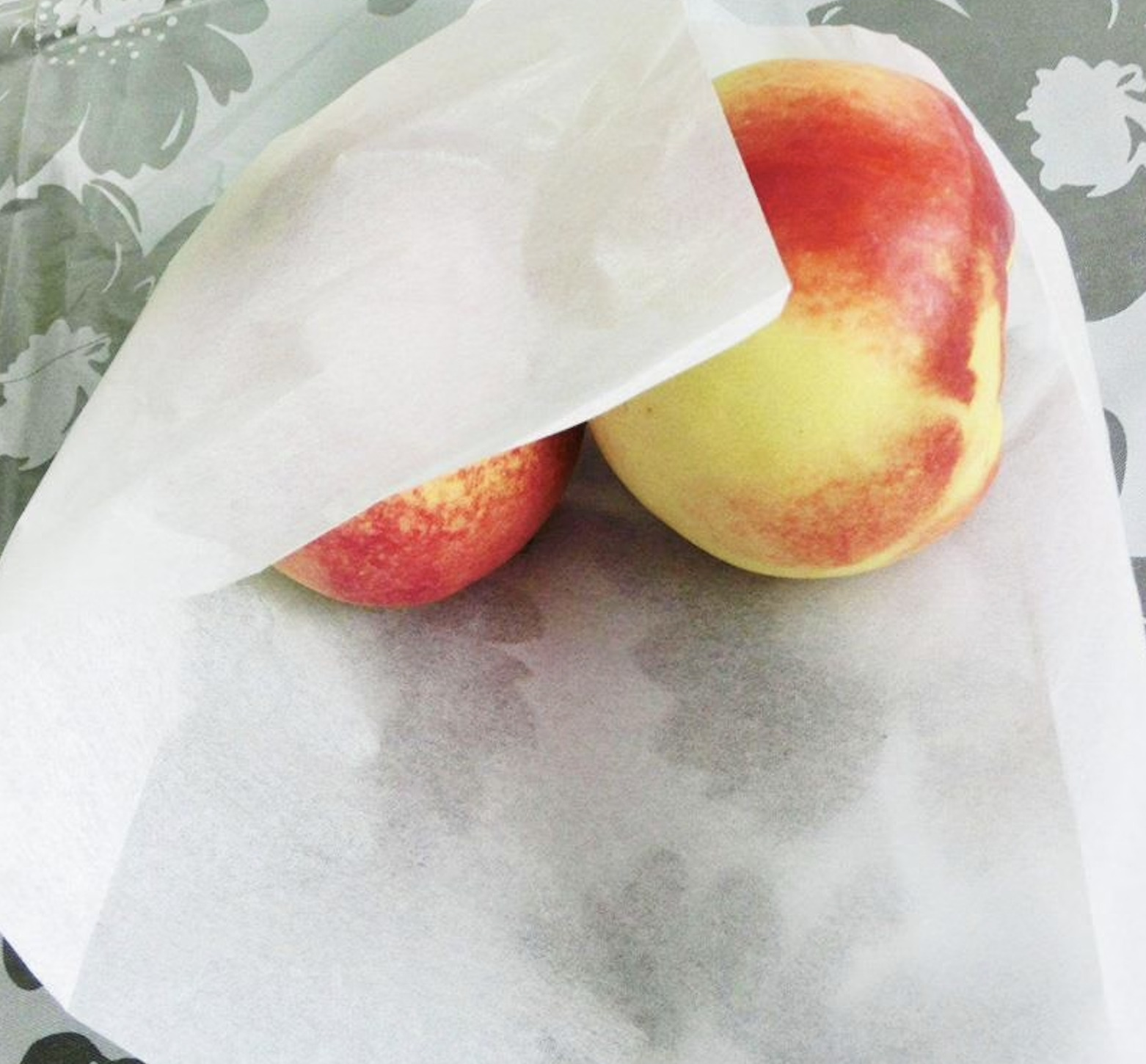 Giấy gói trái cây