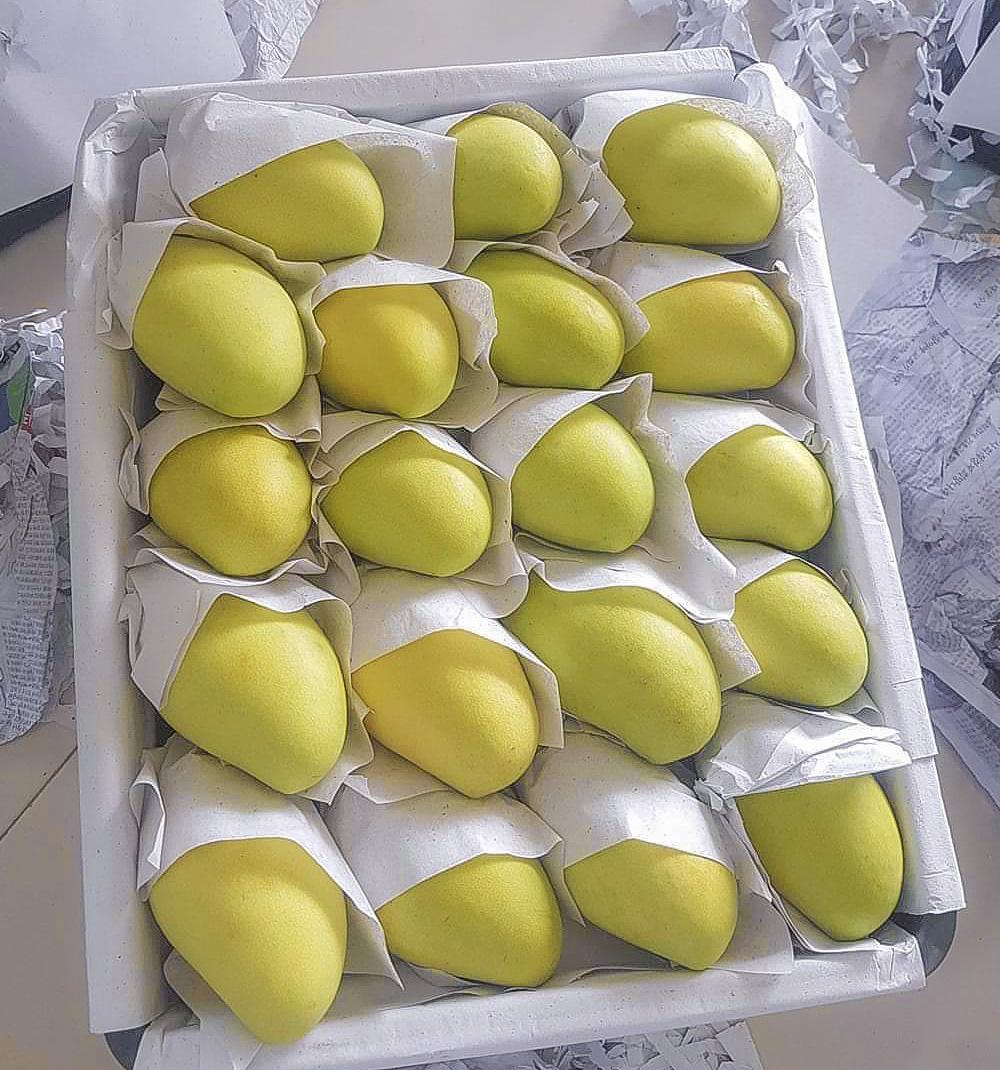 Giấy gói trái cây