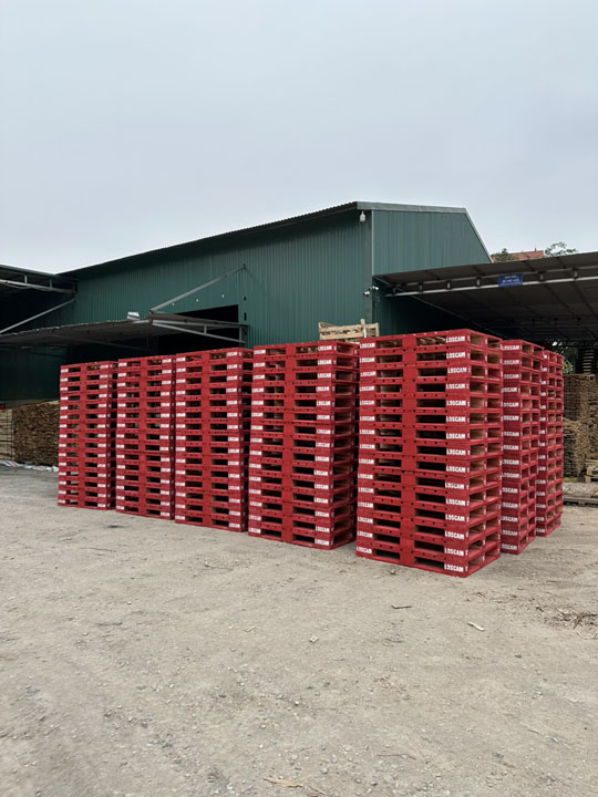Pallet 4 hướng nâng