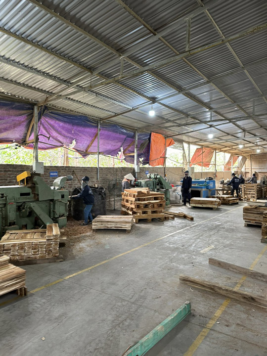 Công ty HVG