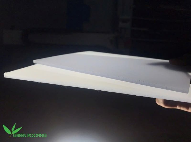 Tấm poly tản sáng