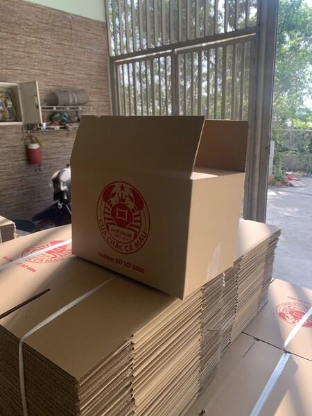 Thùng carton 3 lớp - Thùng Carton Hoàng Nam Như - Công Ty TNHH Sản Xuất Thương Mại Hoàng Nam Như