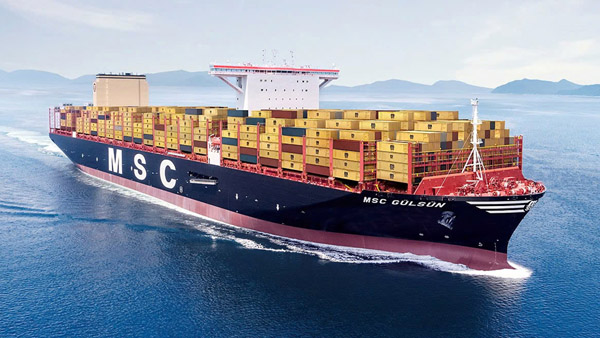 MSC Gulsun - Vận Tải Logistics Gia Hân - Công Ty TNHH TM DV Vận Tải Logistics Gia Hân