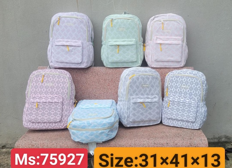 Balo học sinh cấp 1, cấp 2, cấp 3 - Balo, Túi Xách Phi Long - Hộ Kinh Doanh Cơ Sở Sản Xuất Cặp Túi Phi Long