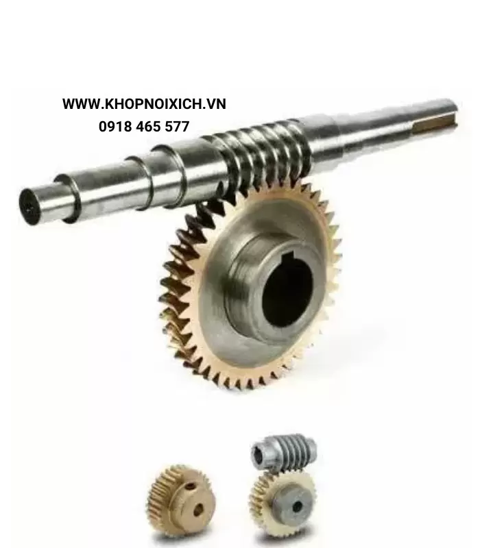 Bánh răng trục vít - Bánh Răng Đa Minh - Công Ty TNHH Cơ Khí Đa Minh