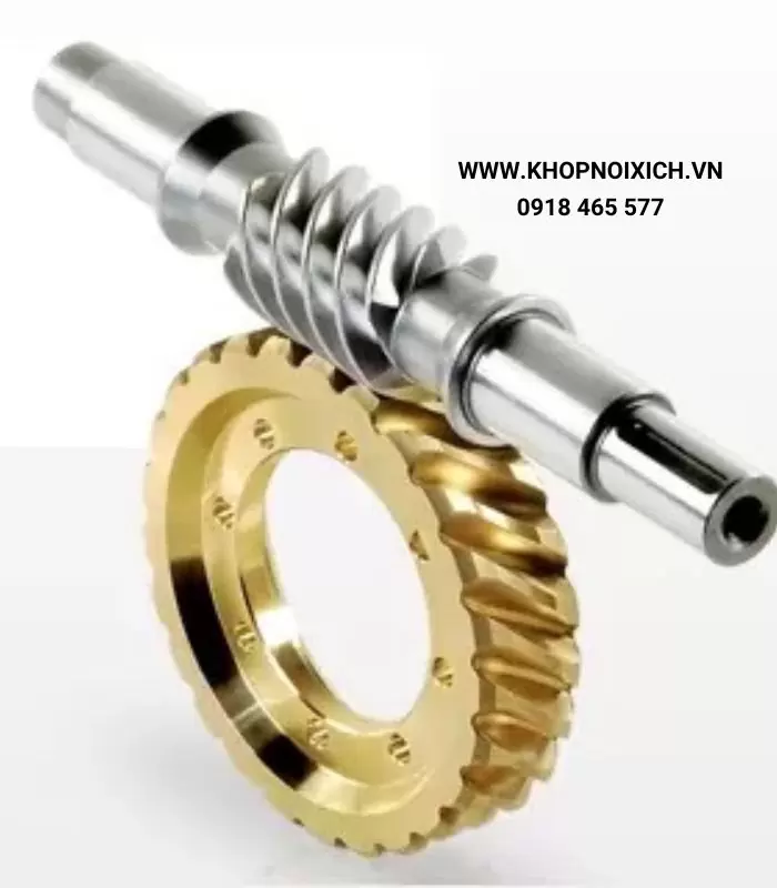 Bánh răng trục vít - Bánh Răng Đa Minh - Công Ty TNHH Cơ Khí Đa Minh