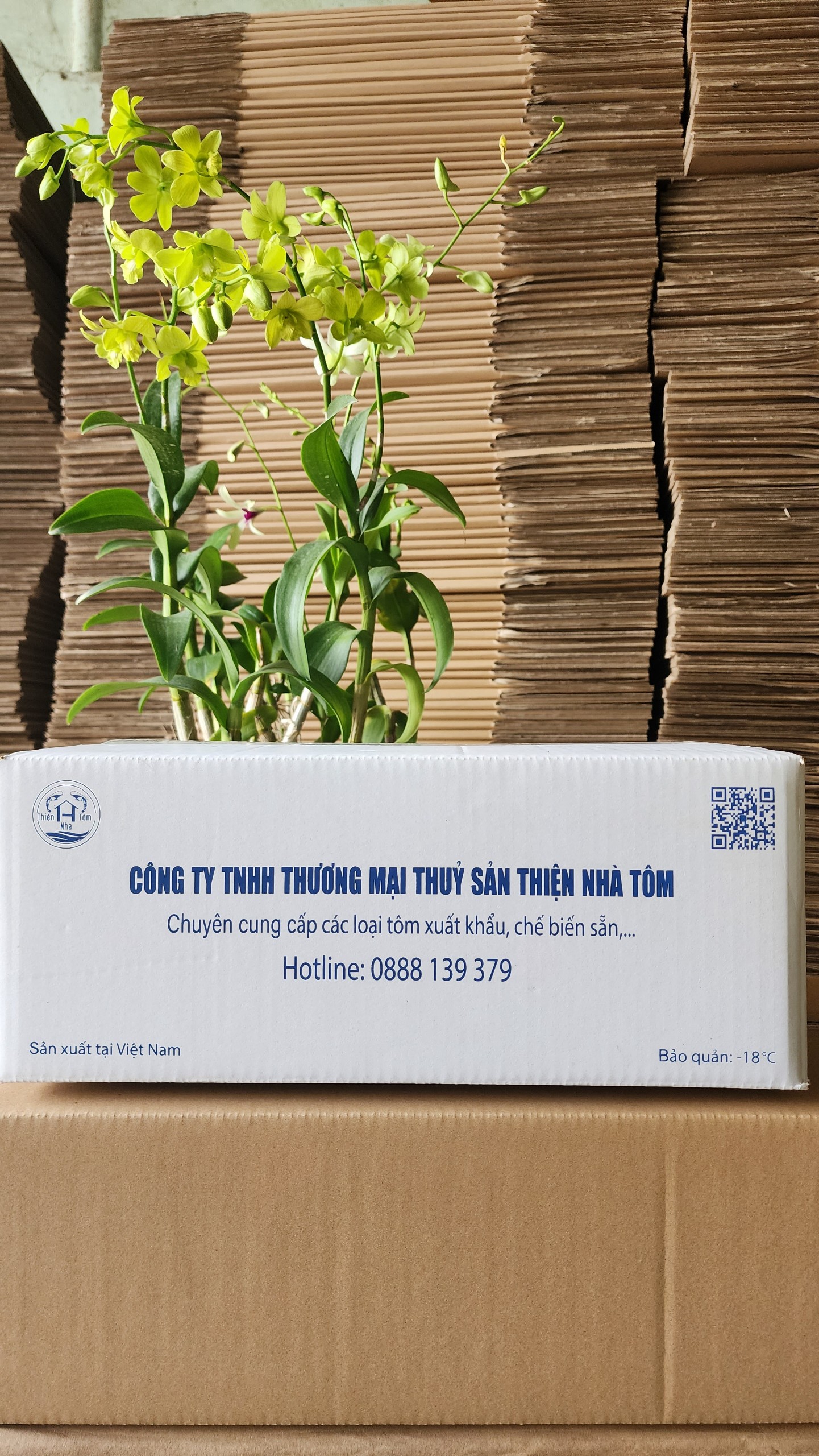 Thùng carton