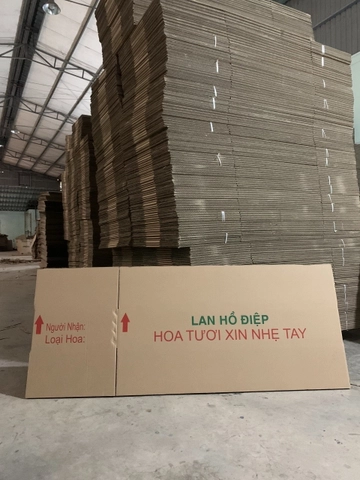 Thùng carton 5 lớp