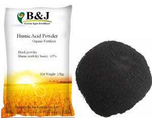 Acid Humic - Chi Nhánh Công Ty Cổ Phần Dịch Vụ Đông A