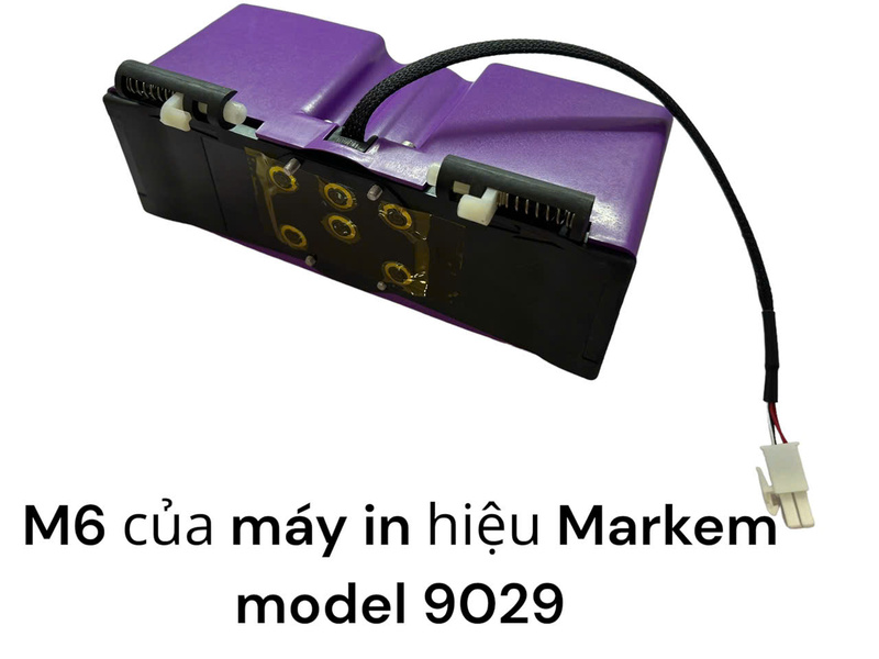 M6 của máy in hiệu Markem model 9029