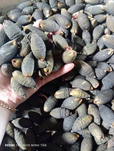 Gia công sấy theo yêu cầu - Công Ty TNHH Inox Minh Tấn