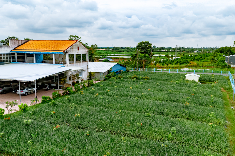 Khuôn viên công ty Tam Ngọc