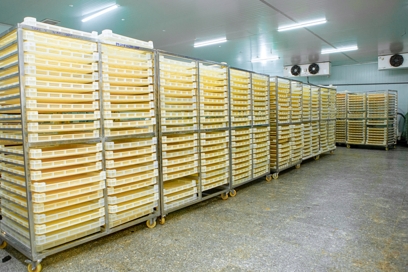 Nhà máy Tam Ngọc