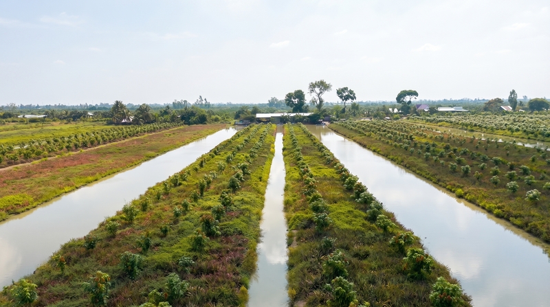 Nông trại Tam Ngọc