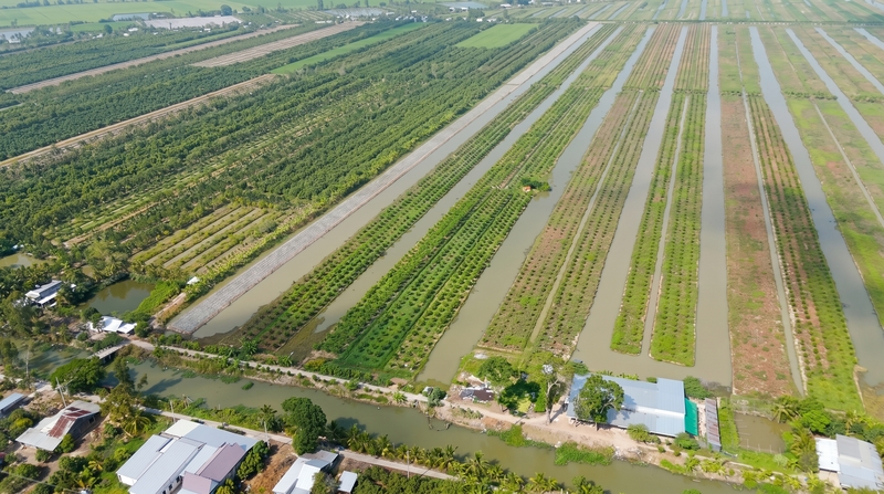 Nông trại Tam Ngọc