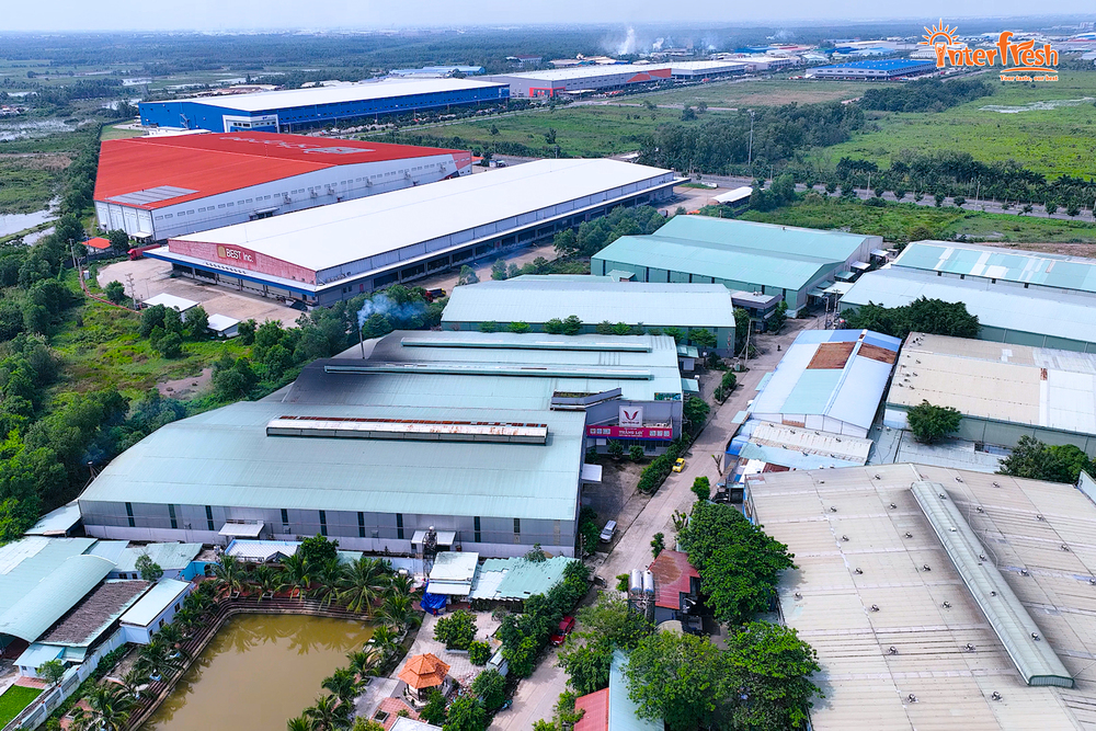 Hình ảnh công ty Interfresh