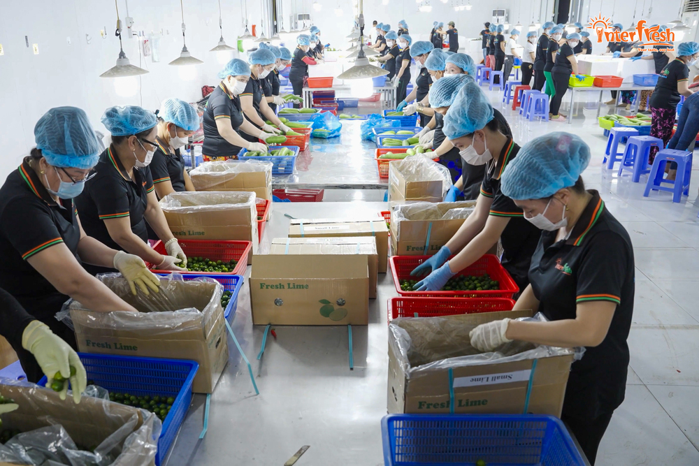 Hình ảnh công ty Interfresh